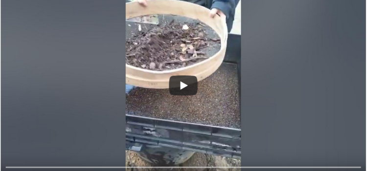 captura vídeo cómo sacar compost